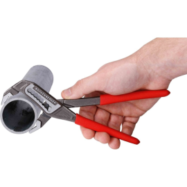 Cleste Rothenberger papagal M10 1K 2 toli