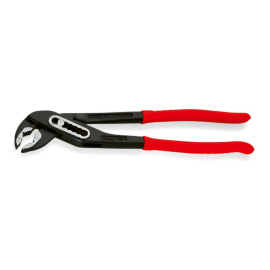 cleste papagal rothenberger spk10